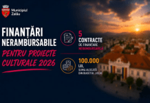 Primăria Zalău finanțează cinci proiecte culturale cu 100.000 de lei. Ce inițiative vor primi bani în 2026