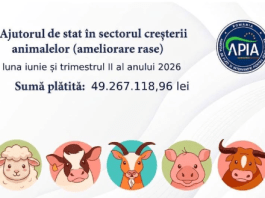 APIA acordă un ajutor de stat de peste 49 de milioane de lei în zootehnie